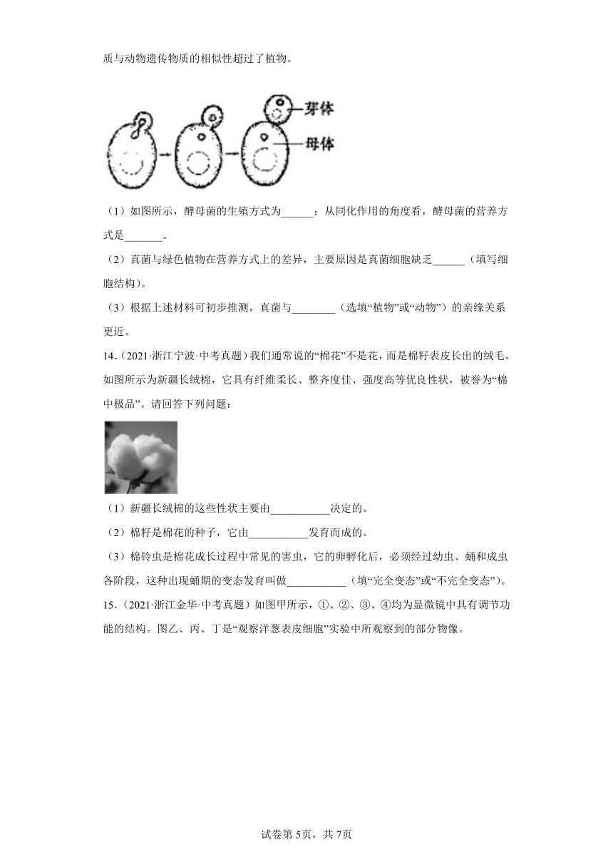 04细胞-浙江省各地区2020-2022中考科学真题汇编（含解析）