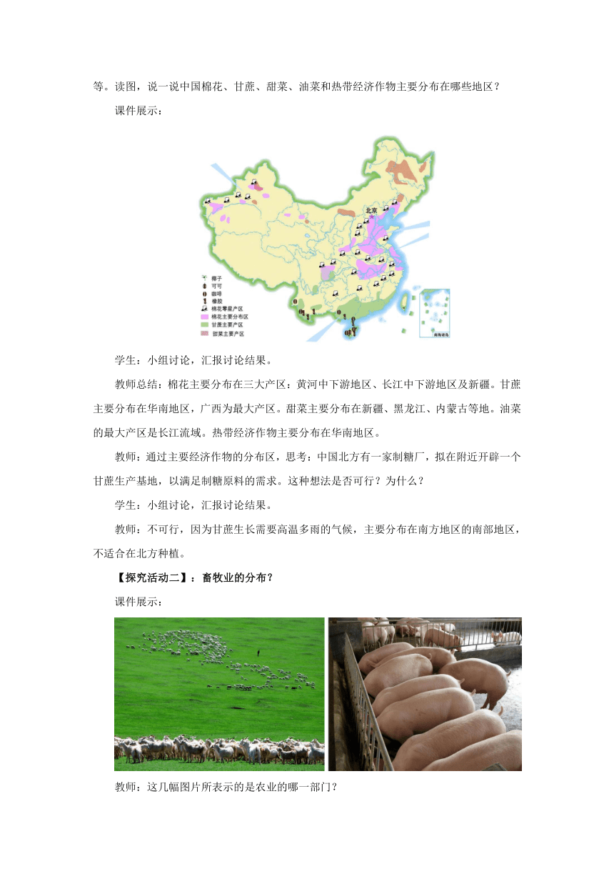 2022-2023学年湘教版地理八年级上册4.1农业（第2课时）教案