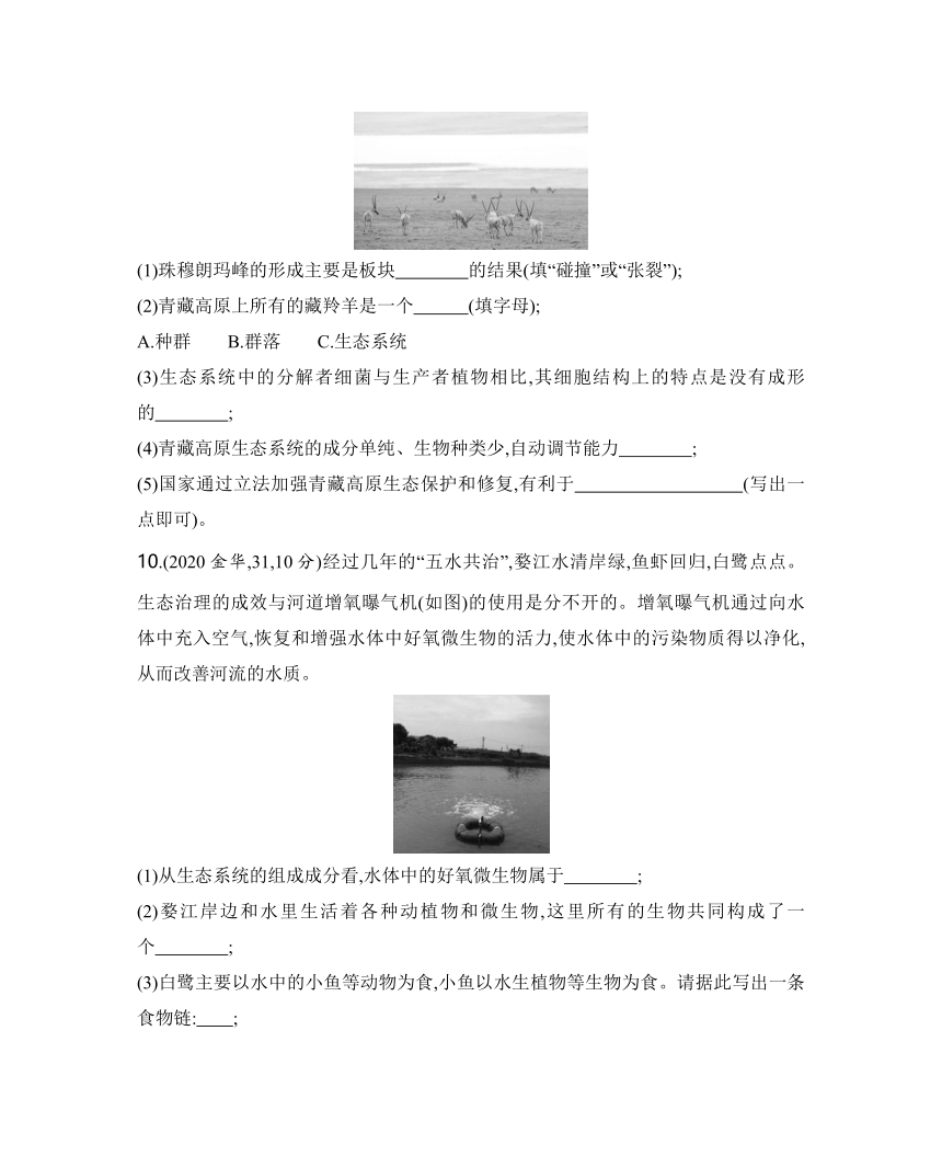 2024年浙江省中考科学二轮复习生物部分：专题二 生物与环境练习（含答案）