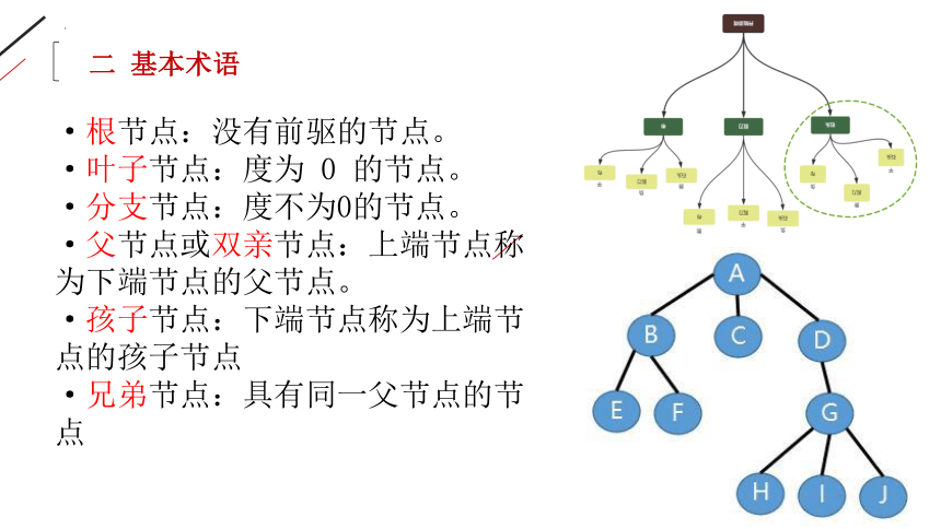 4.1树课件（27PPT）2021-2022学年浙教版（2019）高中信息技术选修1