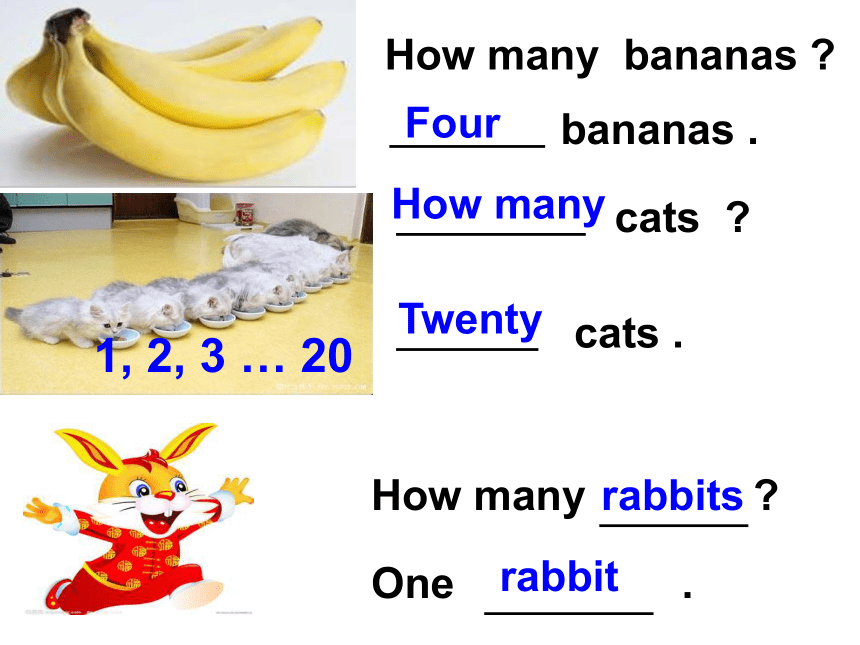 lesson V how many rabbits 课件 （共47张PPT）