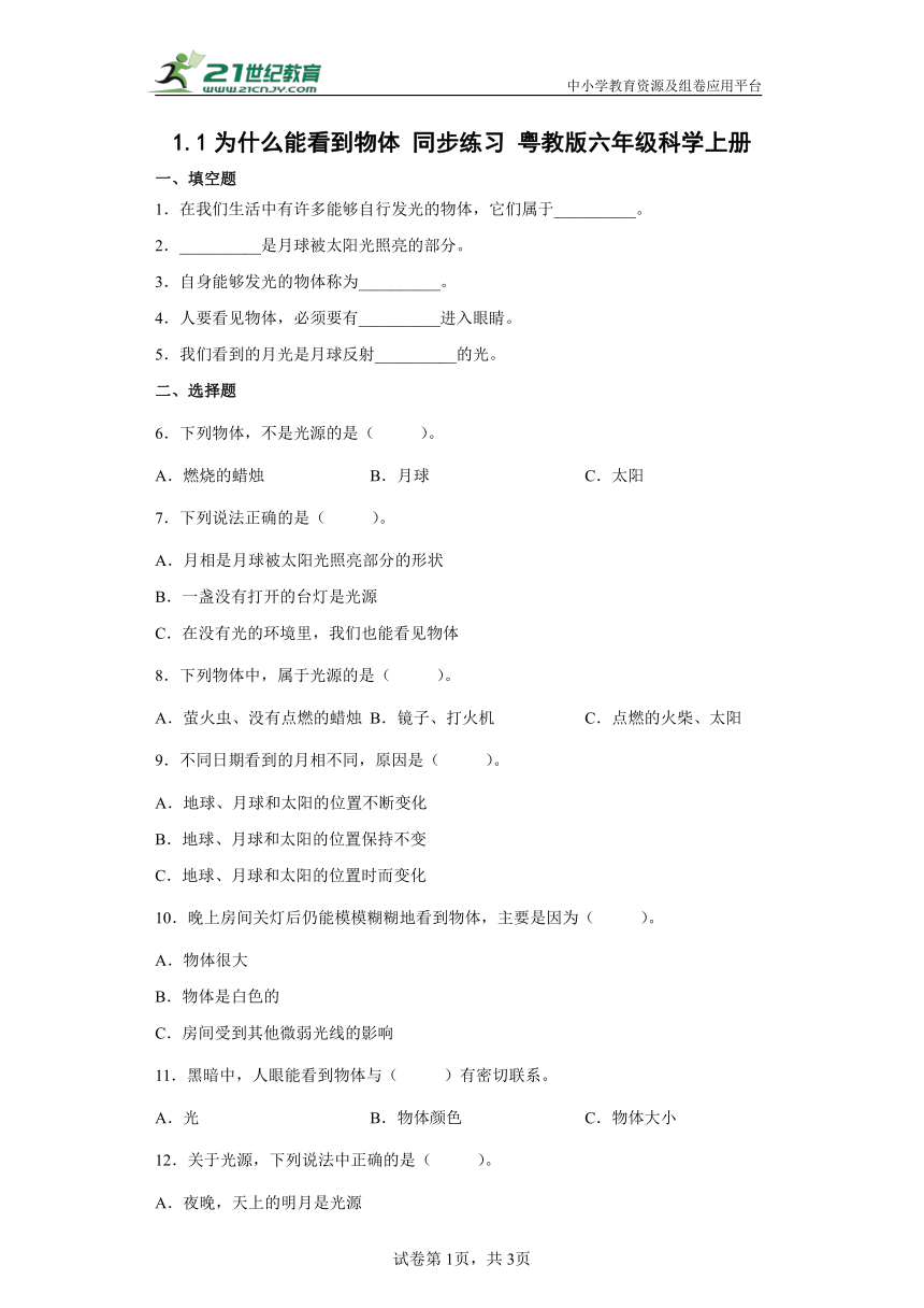 粤教粤科版（2017秋） 六年级上册1.1为什么能看到物体同步练习（含答案）