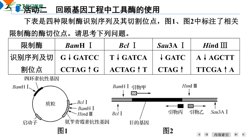 【一轮复习】第4单元遗传的分子基础第7课时　基因工程的基本工具和操作程序课件(共31张PPT)