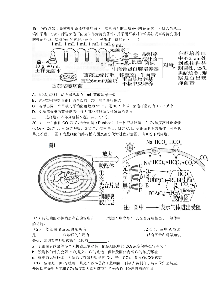 2023届江苏省苏锡常镇四市高三下学期教学情况调研（二）生物学试题（Word版含答案）