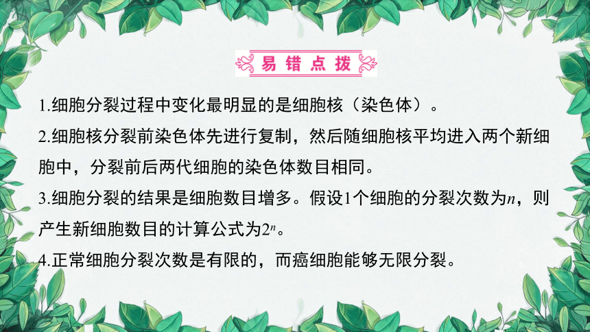 2023年中考生物复习 课题二 细胞的分裂、生长、分化课件(共26张PPT)