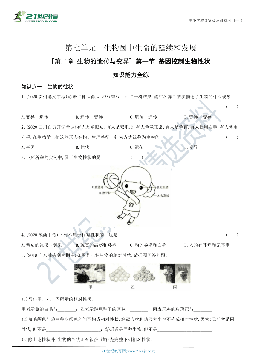 7.2. 1基因控制生物性状专项强化练习（含解析）