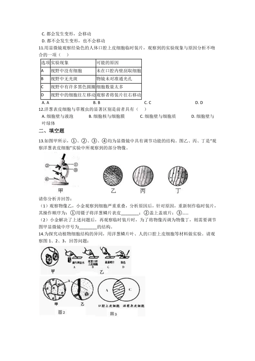 2.2细胞 同步练习（含解析）