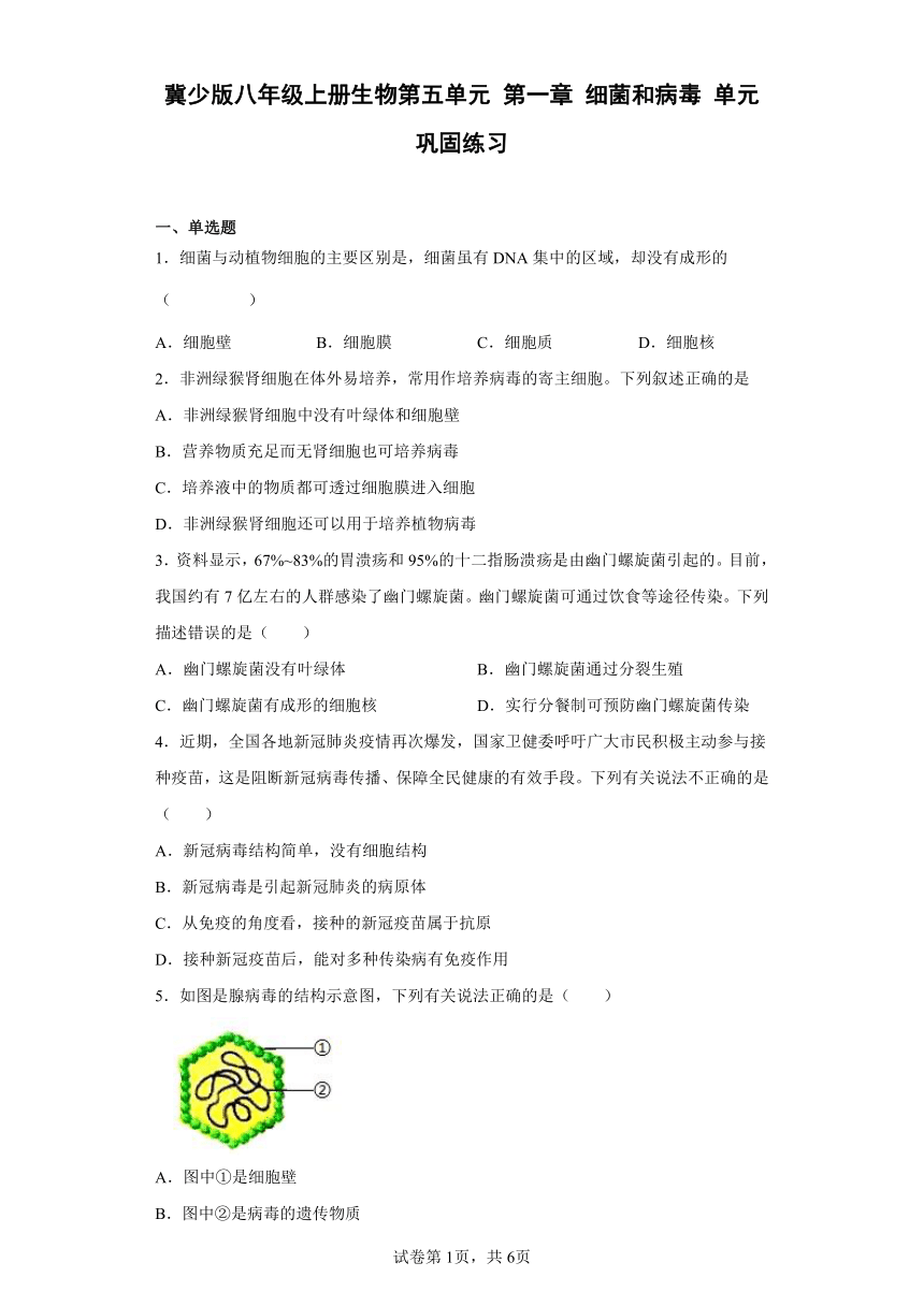 冀少版八年级上册生物第五单元 第一章 细菌和病毒 单元巩固练习（Word版 含答案）