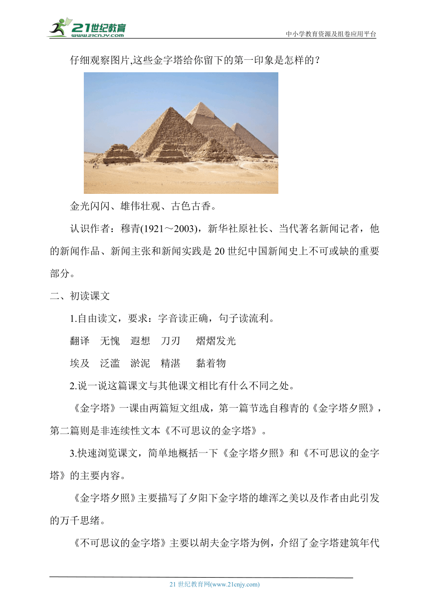 【核心素养目标】20.金字塔  教案