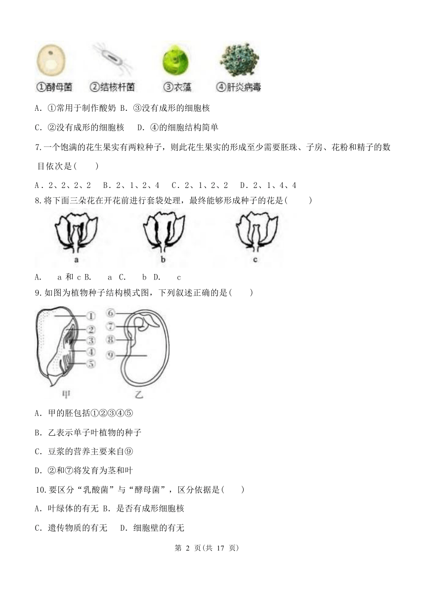 第7章 植物和微生物的生殖与发育单元练习（含答案）