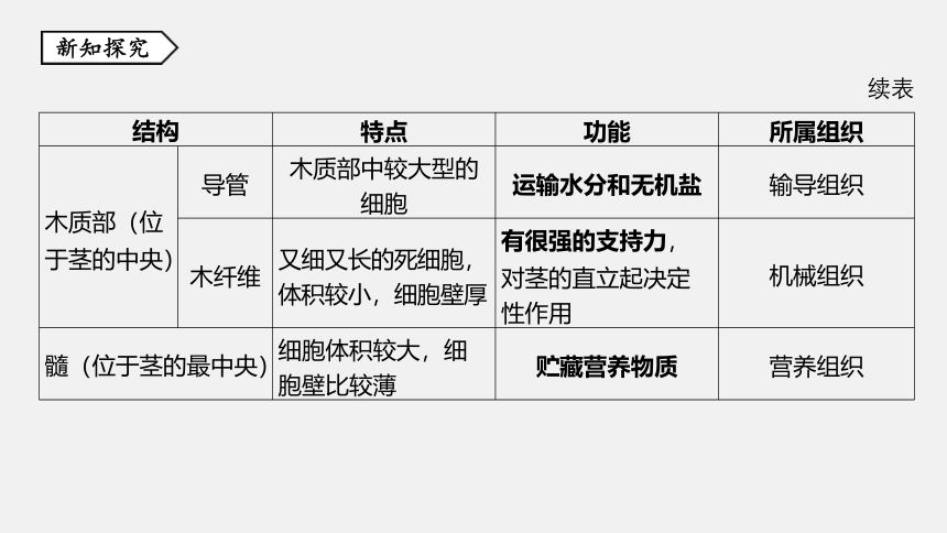 第4节 植物的茎与物质运输 同步练习（36张ppt）