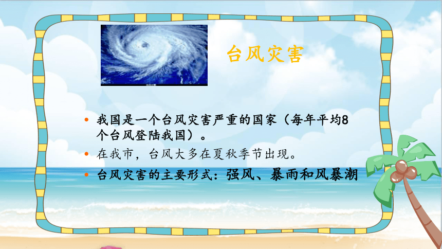小学主题班会课件-防台风教育-全国通用(25张PPT)