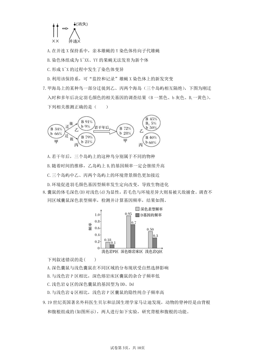 山东省德州市夏津县第一高级中学2022届高三上学期11月间周考生物试卷（PDF版含答案）