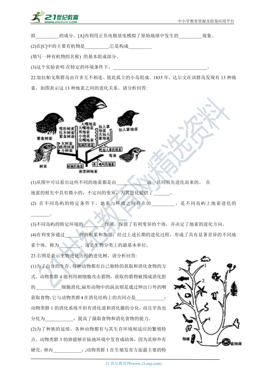 人教版八年级下册生物第七单元第三章生命起源和生物进化综合训练题（word版含答案）