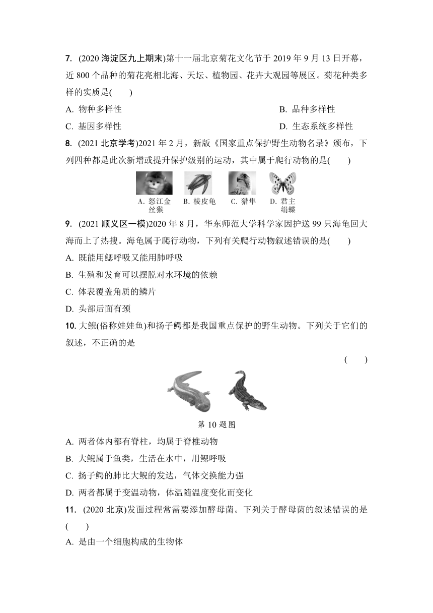 2022年北京市中考生物生物的多样性考点分层训练 (word版含解析）