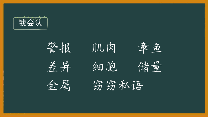 23 海底世界  课件（50张）