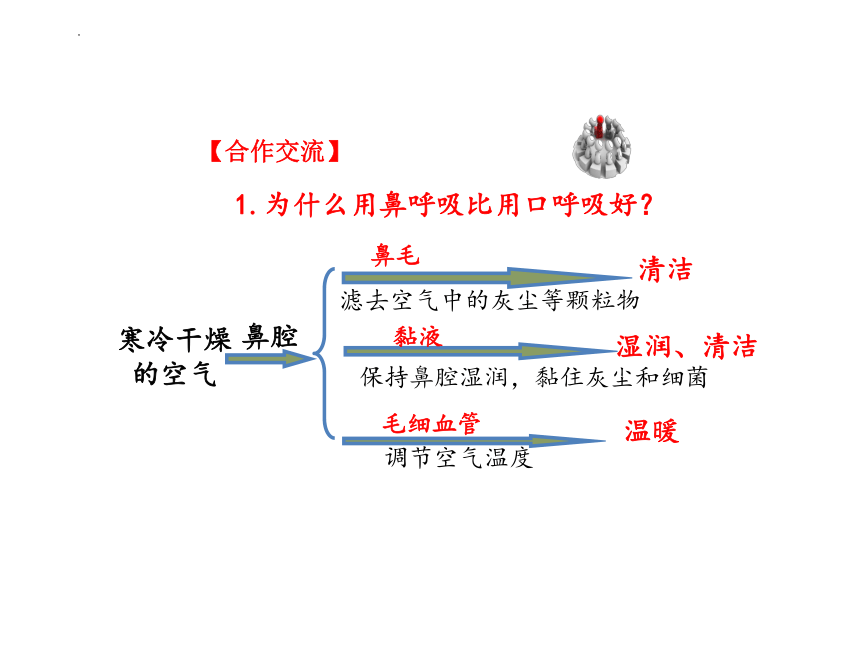 3.2.1  人体与外界的气体交换  课件(共52张PPT)2022-2023学年济南版生物七年级下册