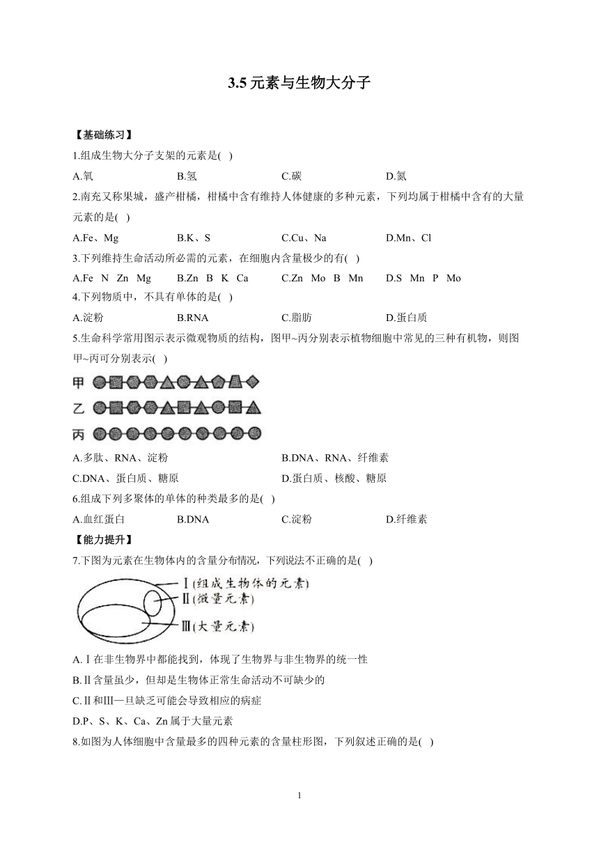 3.5元素与生物大分子——2022-2023学年高一生物学北师大版（2019）必修一同步课时训练（word版含解析）