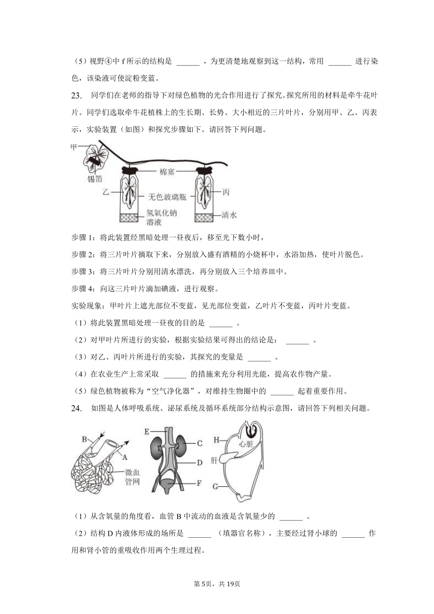 2023年吉林省松原市宁江一中、宁江五中等校联考中考生物二模试卷（含解析）