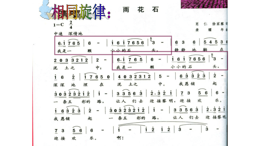 沪教版五年级下册课件 雨花石 (共17张PPT)