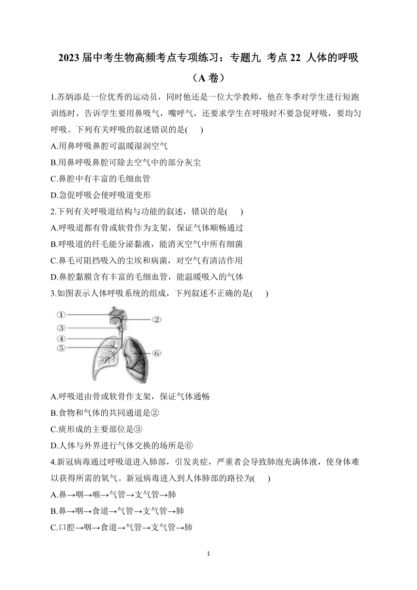 2023届人教版中考生物高频考点专项练习：专题九 考点22 人体的呼吸（A卷）（含解析）