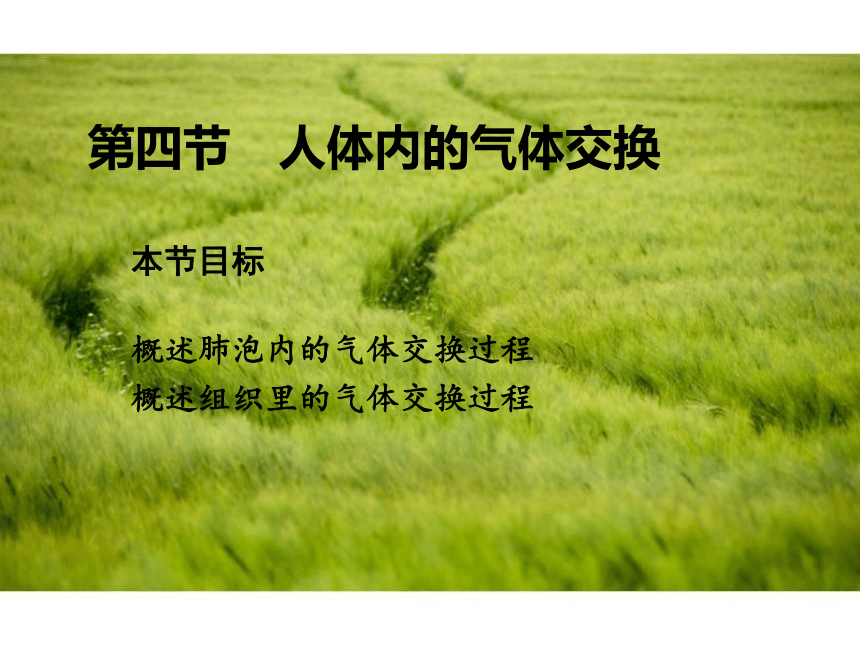 苏教版生物七年级下册 第十章 第四节 人体内的气体交换课件(共15张PPT)