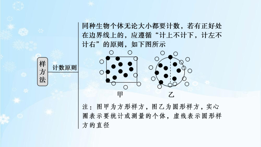 1.1　种群的数量特征(共50张PPT)