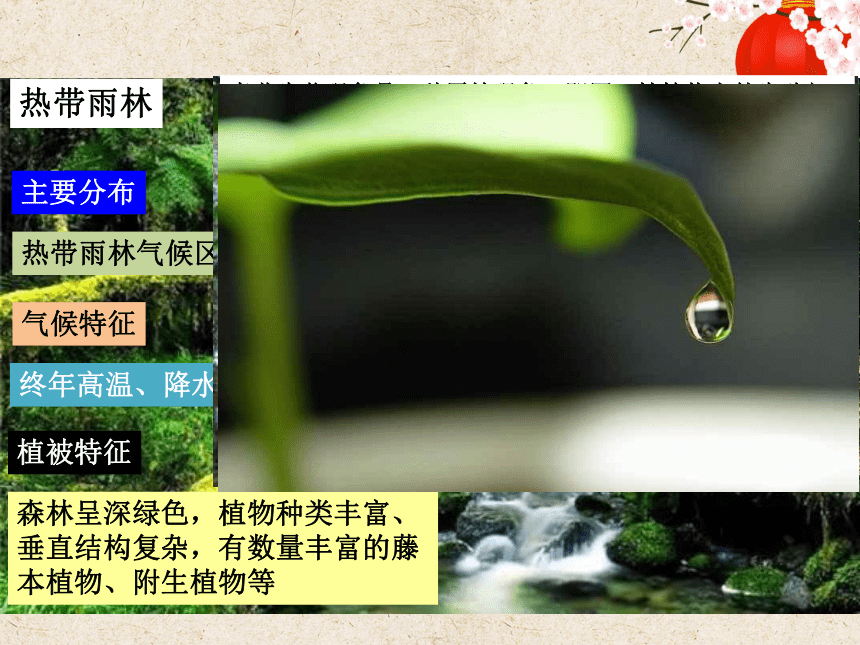 2.3生物圈与植被 课件（36张）