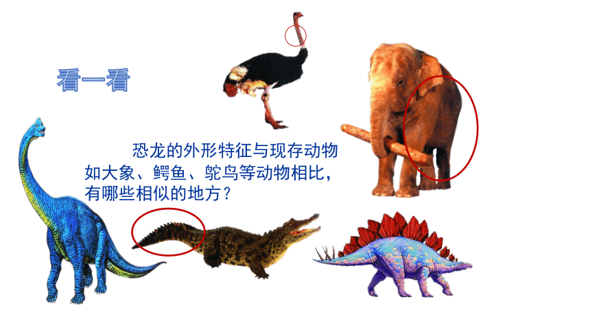 浙美版二年级上册11.泥塑恐龙课件（18张PPT)