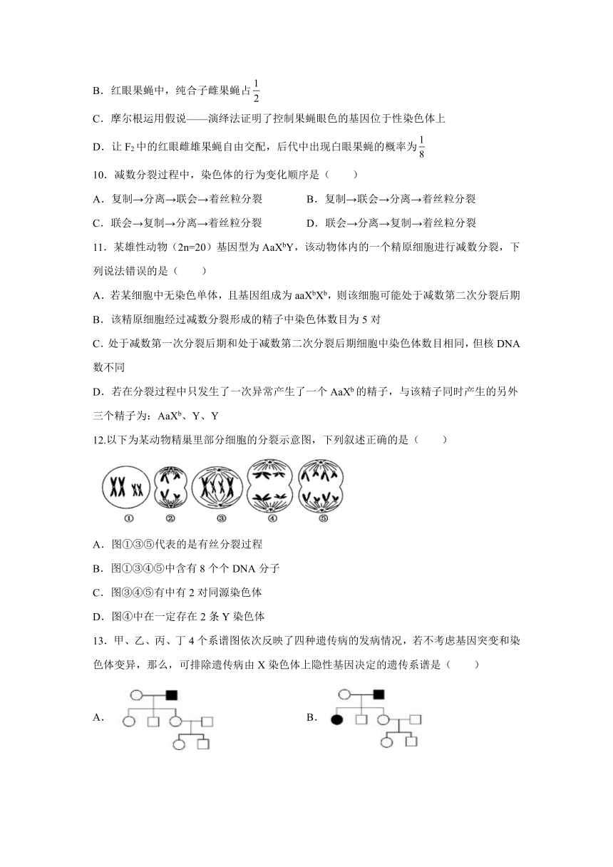 甘肃省白银市靖远县第二高级中学2021-2022学年高二上学期期中考试（二）生物（理）试卷（Word版含答案）