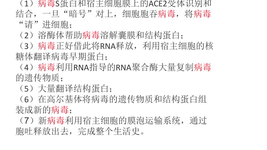 2021届高考冲刺专题复习新冠病毒为载体的知识  (17张PPT）