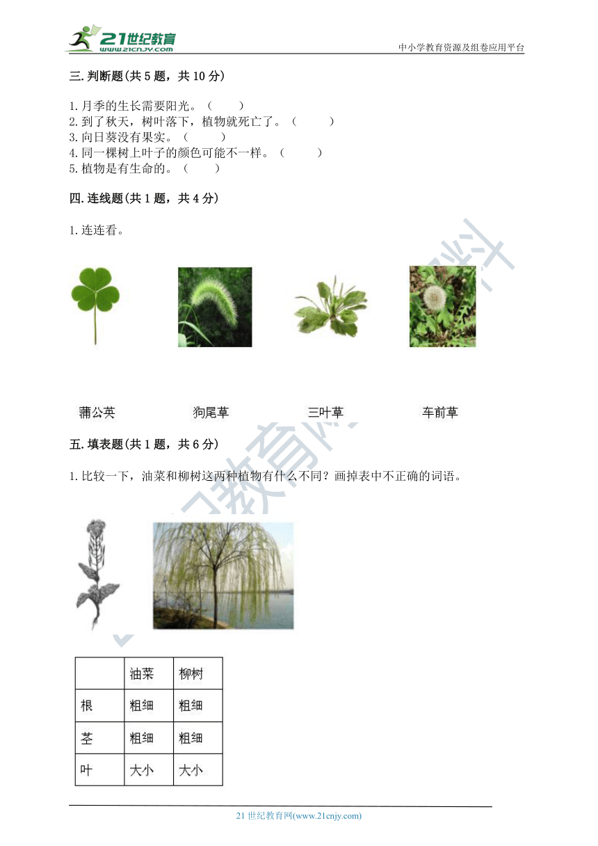 2021-2022学年科学一年级上册-教科版第一单元 植物 单元测试卷（含答案）