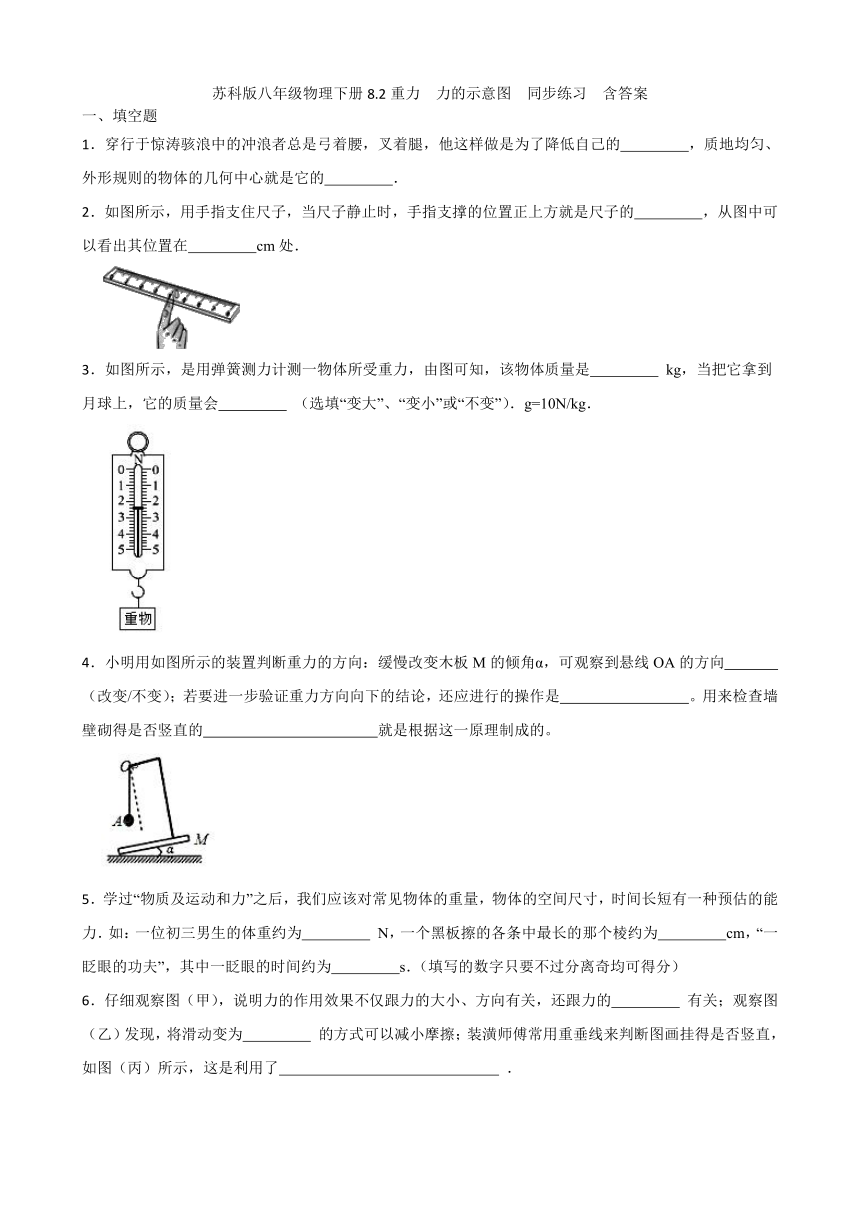 苏科版八年级物理下册8.2重力  力的示意图  同步练习  含答案