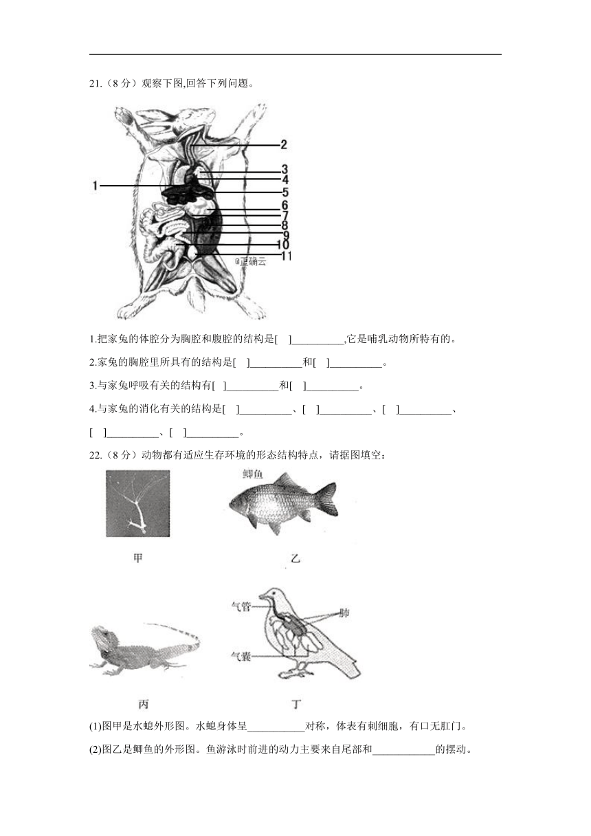 第四章多种多样的动物_能力提升_2021-2022学年冀教版七年级上册生物单元测试卷（word版含解析）