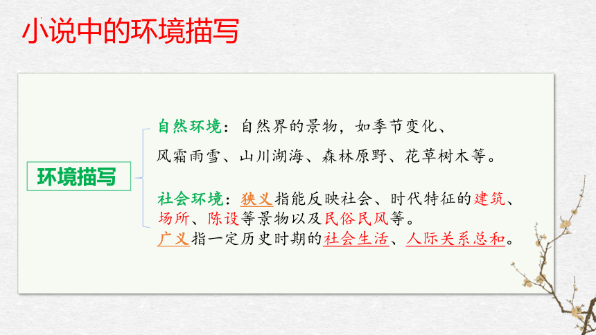 5.《阿Q正传》《边城》比较阅读课件 (共27张PPT)统编版高中语文选择性必修下册