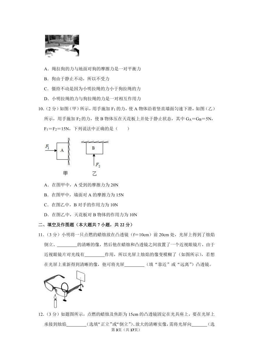 2022-2023学年陕西省宝鸡市陈仓区八年级（下）期中物理试卷（含解析）