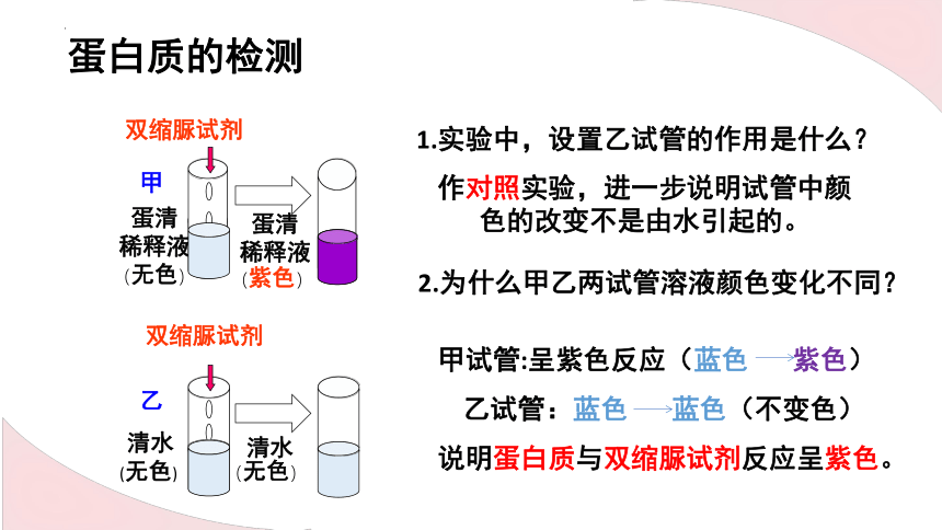 8.1人类的食物课件(共26张PPT)2022--2023学年北师大版七年级下册生物