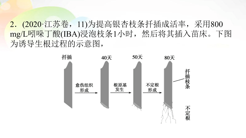 必修3 第1单元 第5讲 植物的激素调节 课末总结(共25张PPT）