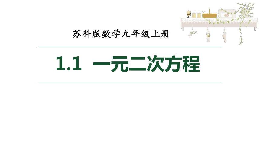 苏科版数学九年级上册1.1一元二次方程课件(共21张PPT)