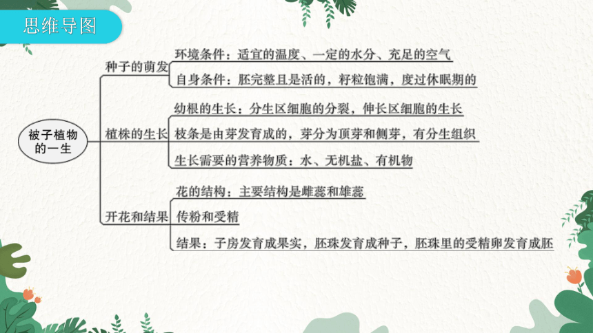 人教版生物七年级上册 第三单元生物圈中的绿色植物章末总结第二章被子植物的一生课件(共31张PPT)