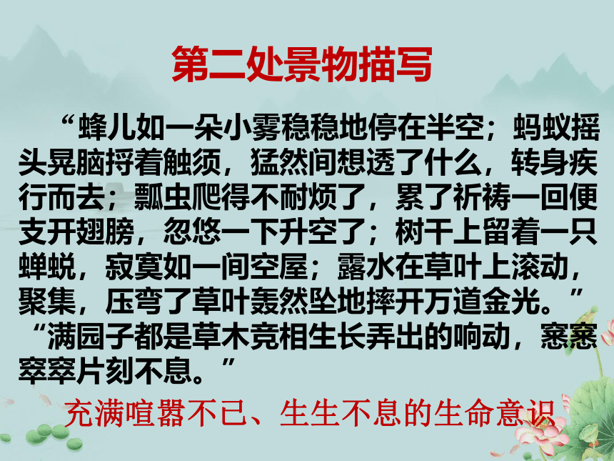 2022-2023学年高一语文部编版（2019）必修上册课件：第七单元  15 我与地坛（节选）(共21张PPT)