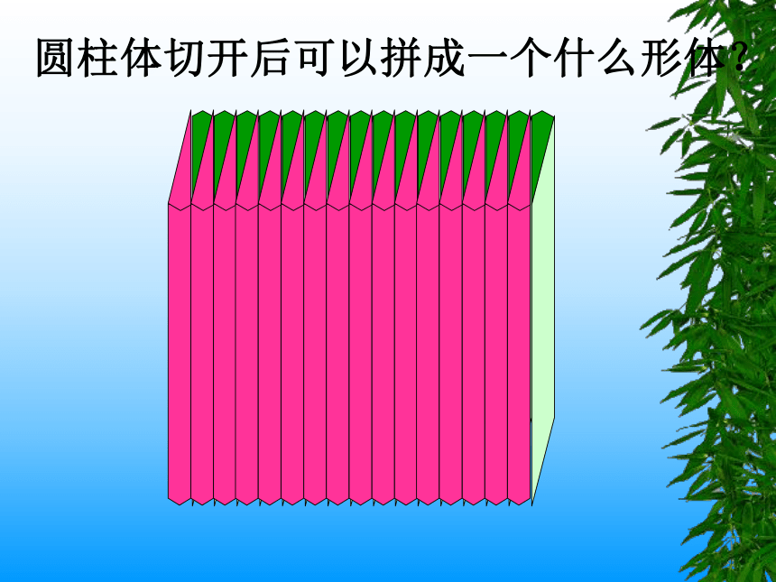 人教版（五四制） 数学六上 5.1 圆柱 课件 （共18张ppt）