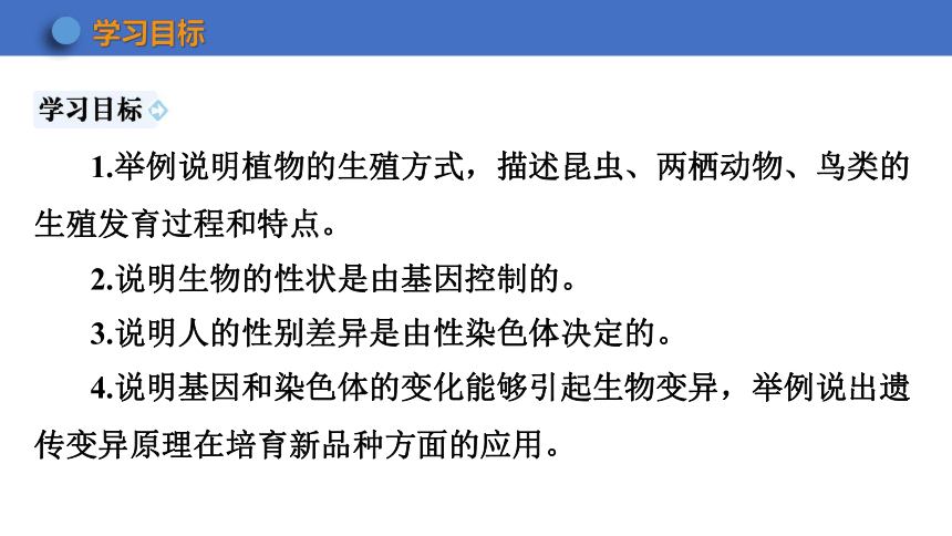 第七单元 生物圈中生命的延续和发展 复习课件(共34张PPT) 2023-2024学年 初中生物人教版八年级下册