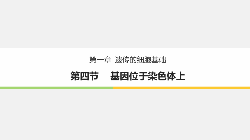 苏教版（2019）高中生物 必修二  1.4 基因在染色体上 课件（共36张PPT）