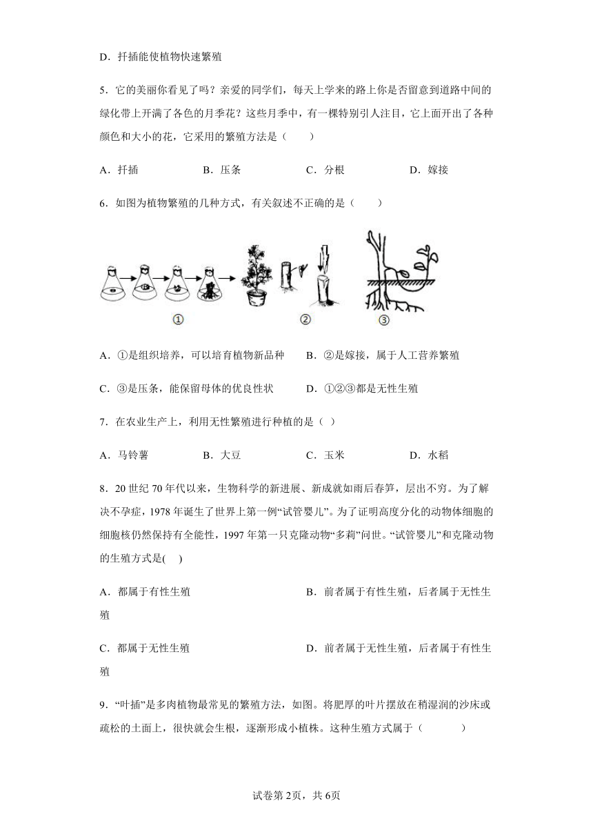 7.3植物的无性生殖 课时训练（含答案）