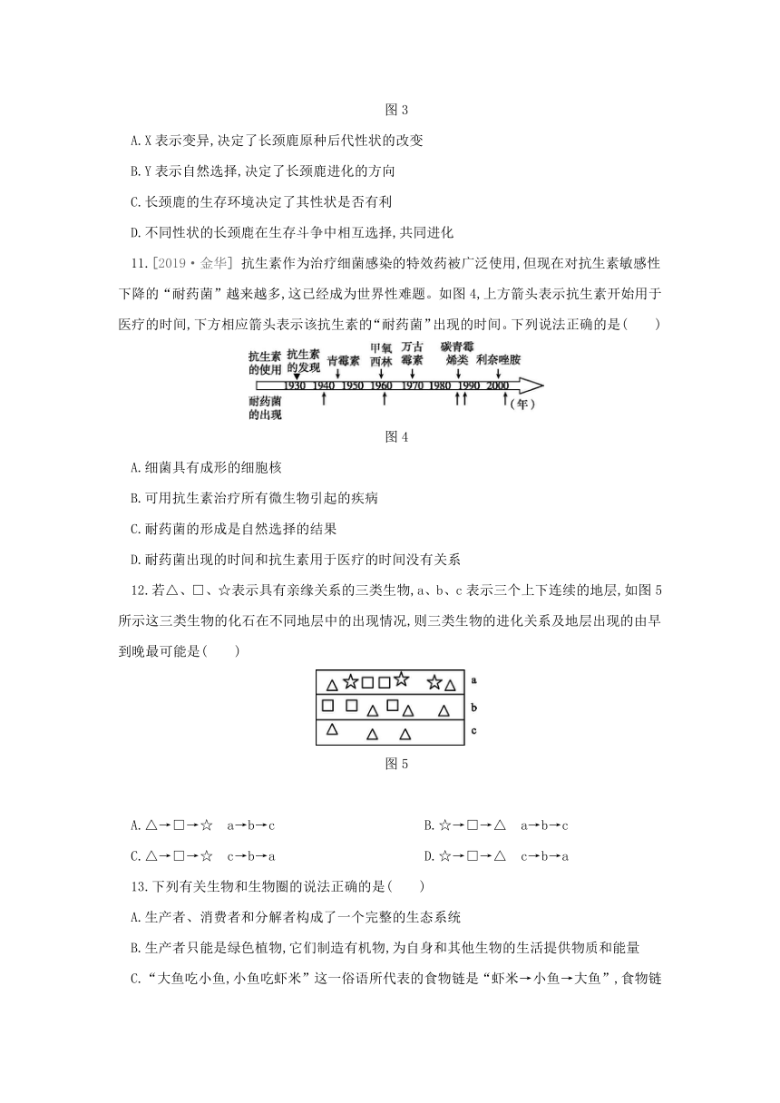 华东师大版九年级科学下册 第2章 地球的演化和生物圈的形成 单元测试题（含解析）