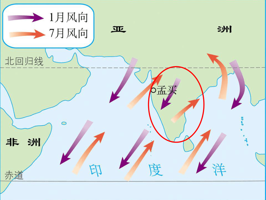 2020-2021学年人教版地理七年级下册 第七章第三节 印度 课件(共30张PPT)