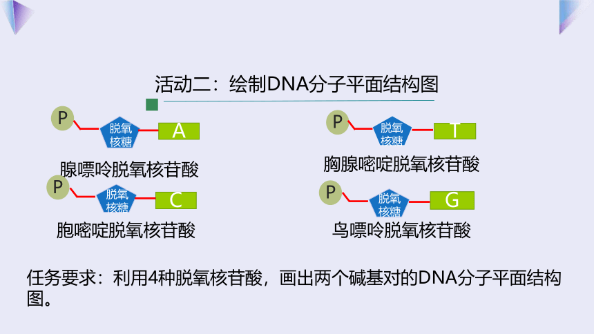 3.2 制作DNA双螺旋结构模型 课件（共19张PPT）