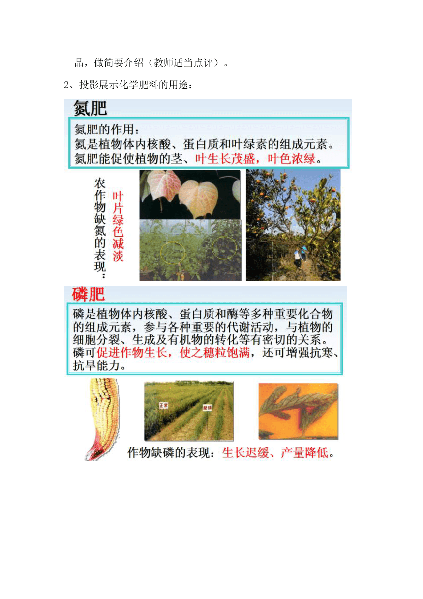 人教版（五四学制）化学九年级全册  第四单元  课题2  化学肥料  教案