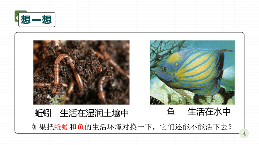 人教版七年级上册生物1.2.1生物与环境的关系课件（共35张PPT）